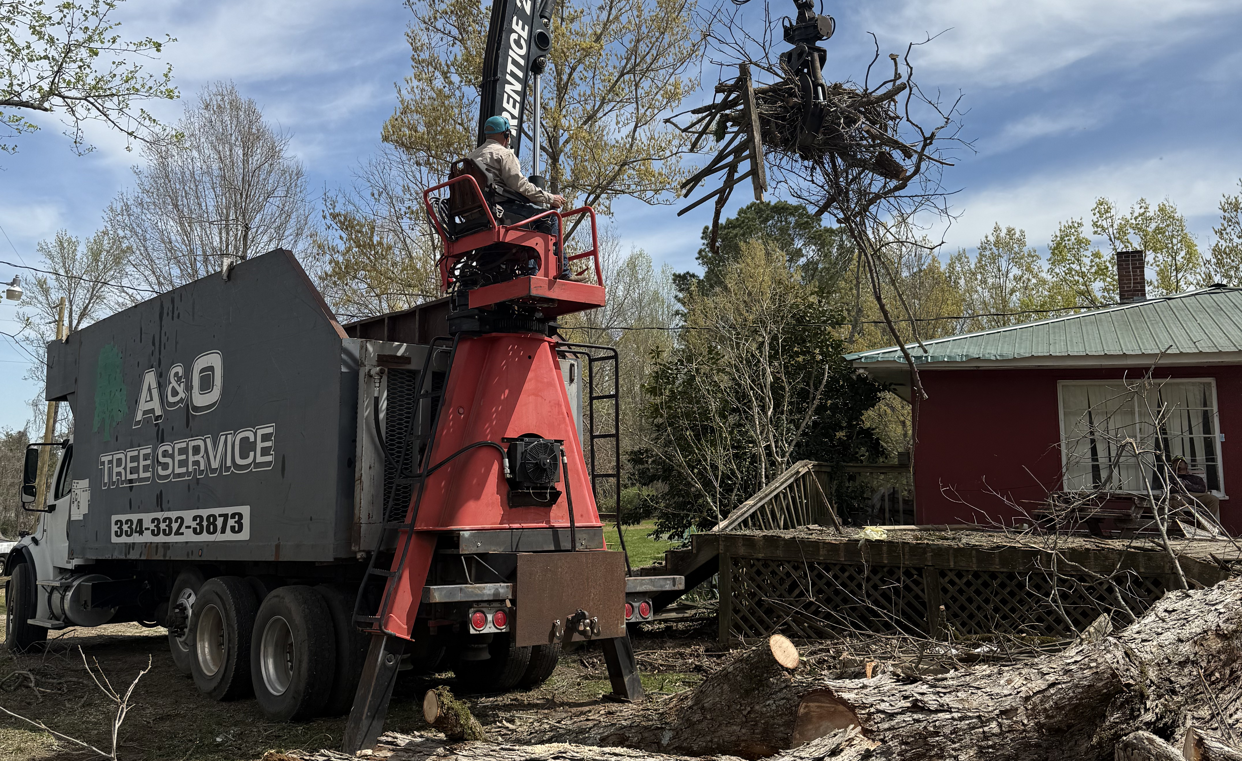 A&O Tree Service work photo